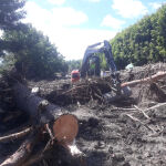 Hawke's Bay Legends AMC Contracting
