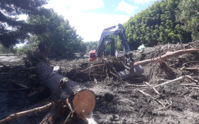 Hawke's Bay Legends AMC Contracting
