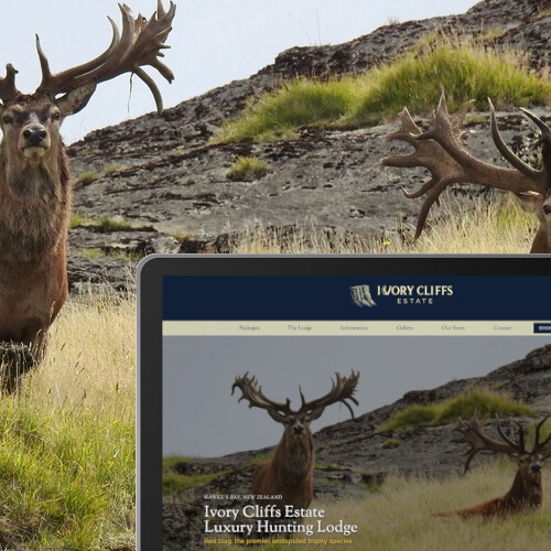 Crafting a Digital Gateway to Wild Luxury