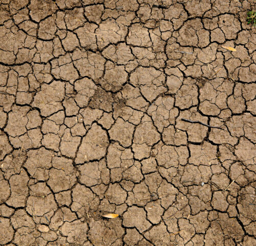 Hawke's Bay Regional Council & MPI - dry weather web app design and development.. 