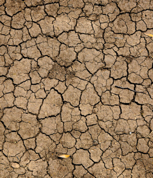 Hawke's Bay Regional Council & MPI - dry weather web app design and development.. 