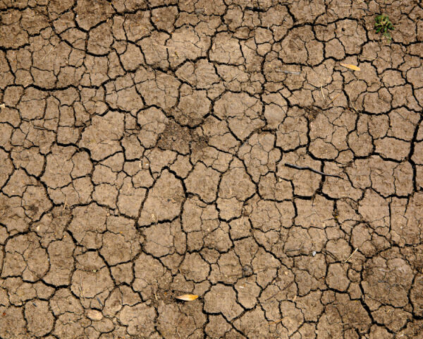 <span class='type-btn'>Web App</span><br />Hawke's Bay Regional Council & MPI drought risk indicator web app.. 
