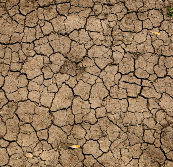 <span class='type-btn'>Web App</span><br />Hawke's Bay Regional Council & MPI drought risk indicator web app.. 