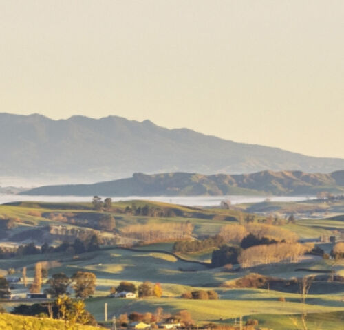 Otorohanga District Council - council web design & development.. 