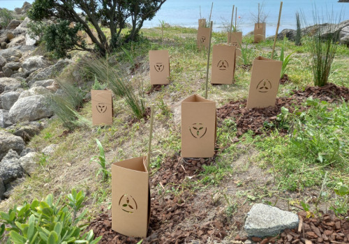 Te Wai Mauri - environmental contracting company and plant nursery website design and development.. 