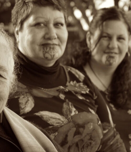 Rongomaiwahine Iwi Trust - Iwi trust web design and development.. 